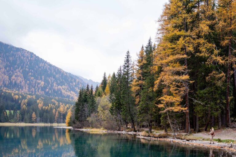 5 New Hampshire hikes for the family
